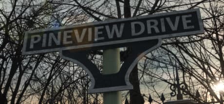 Pineview Drive Steam CD Key