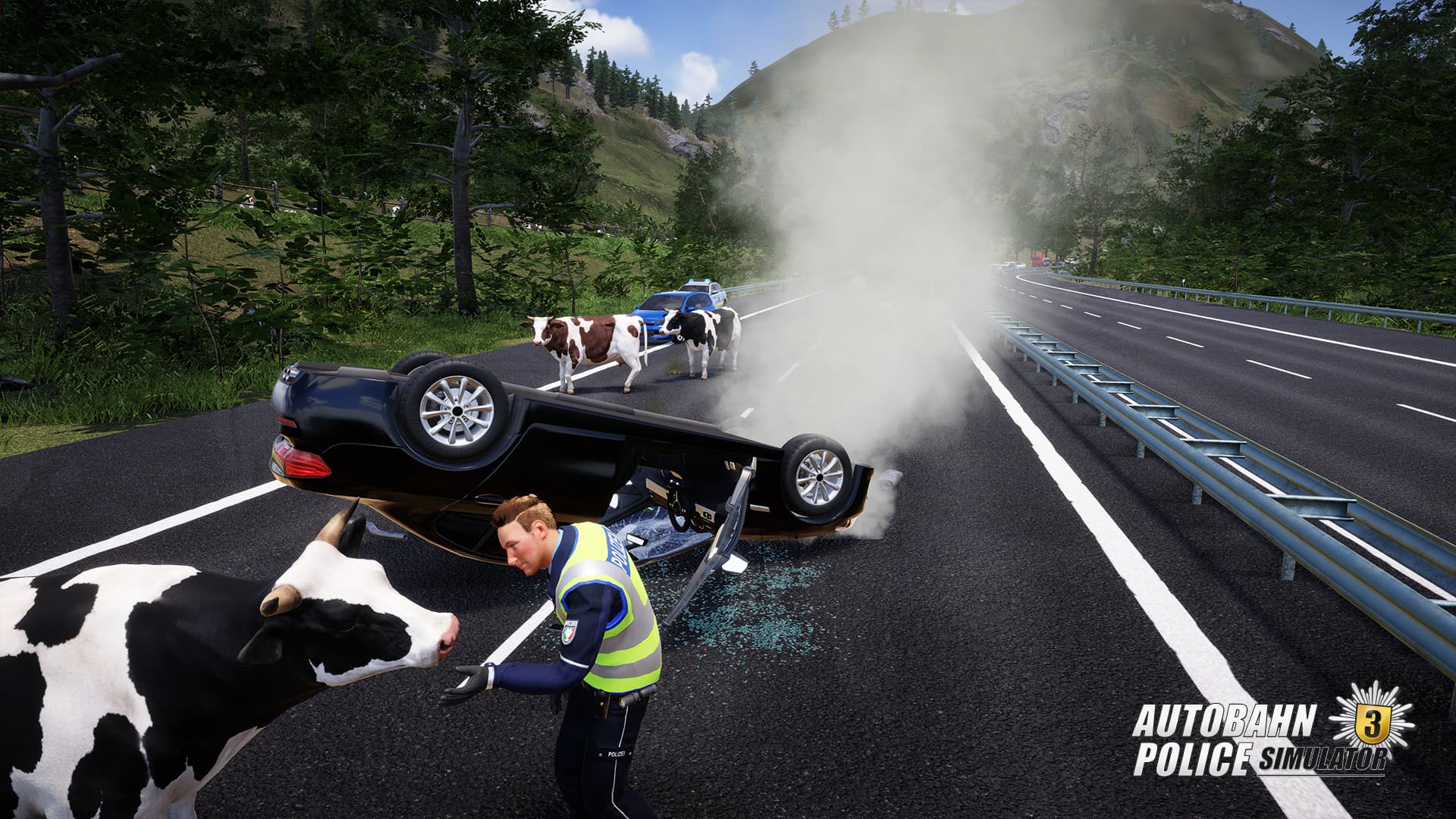 Autobahn Police Simulator 3 PC Steam Account - 7