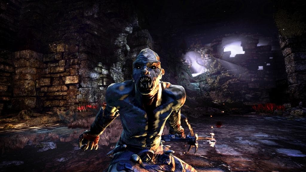 Hunted: The Demon’s Forge Steam CD Key - 2