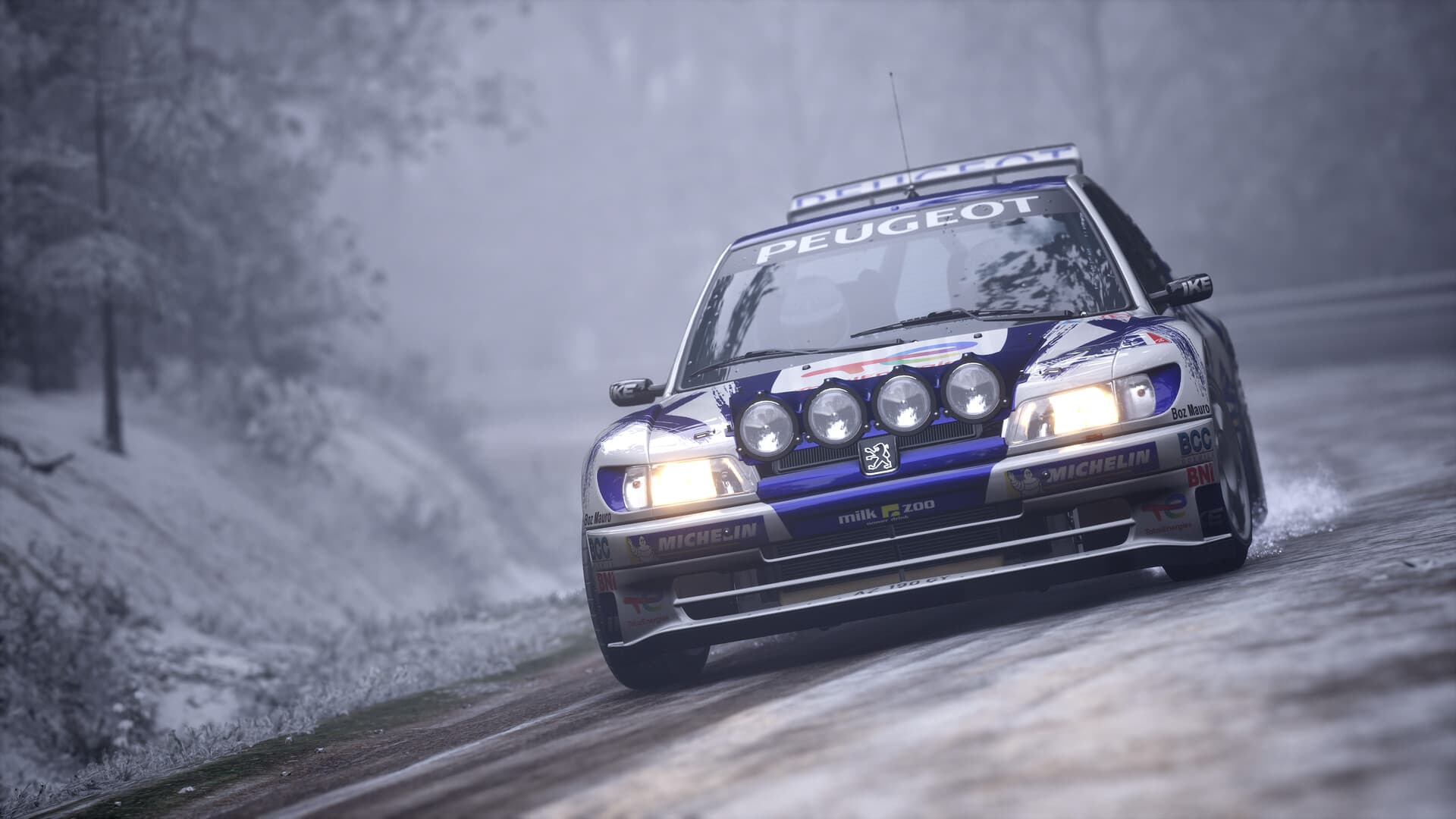 Assetto Corsa Rally PC Steam Account - 2
