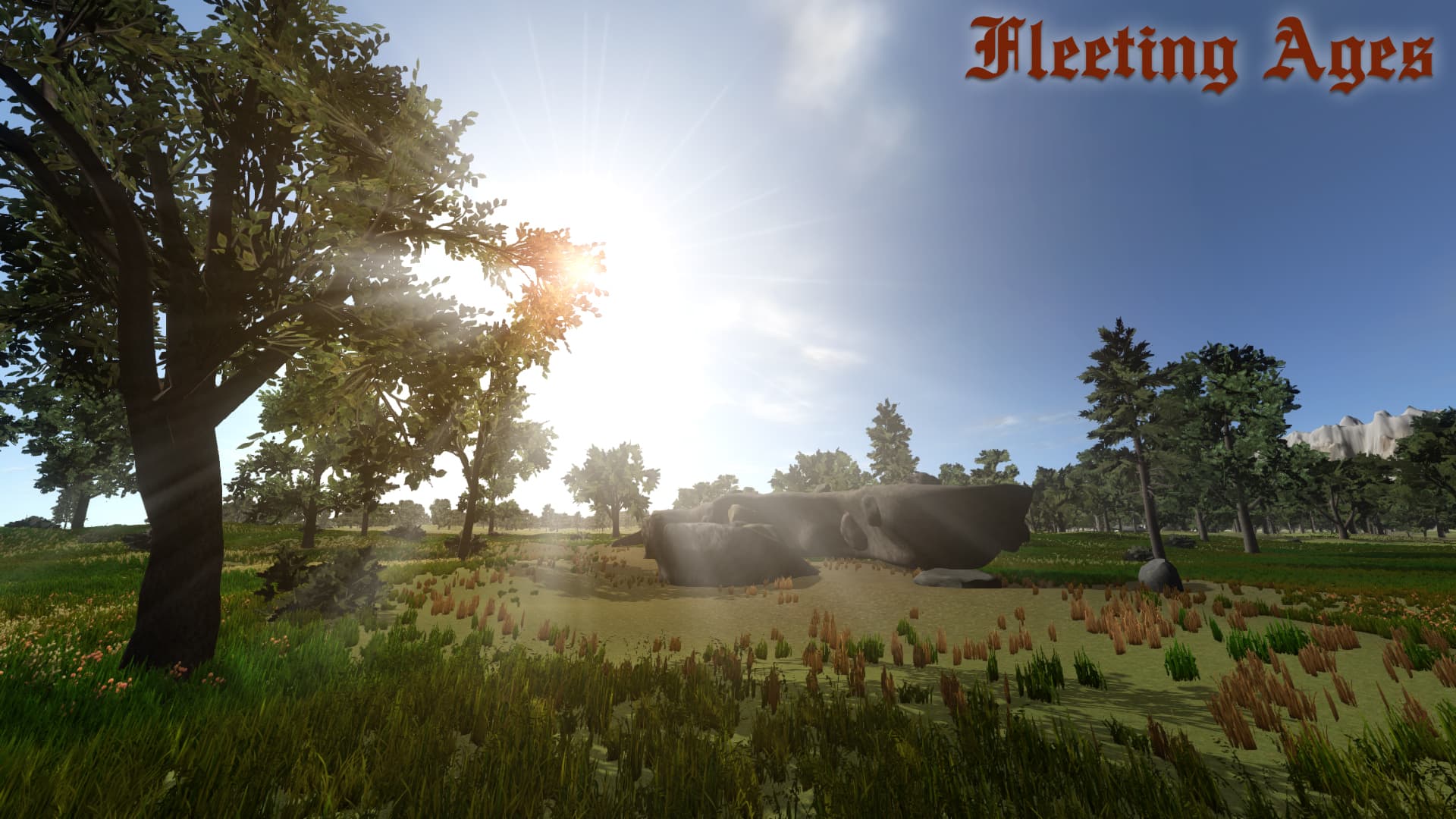 Fleeting Ages Steam CD Key - 8