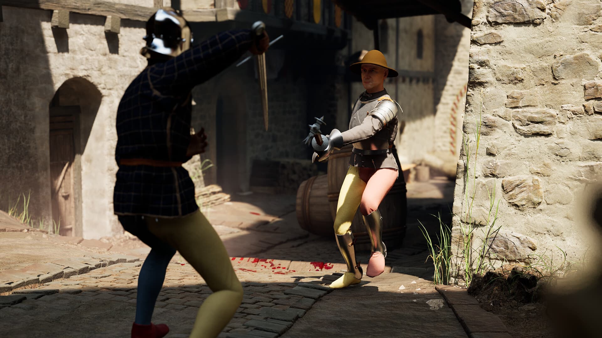 Half Sword Support Edition PC Steam Account - 3