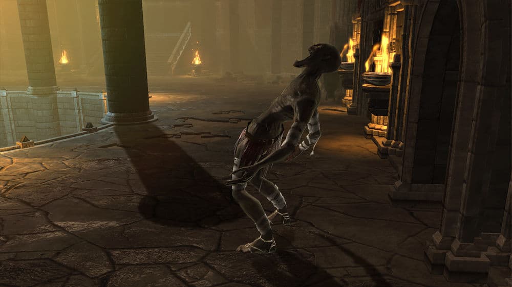 Dungeon Siege III: Treasures of the Sun DLC PC Steam CD Key - 6