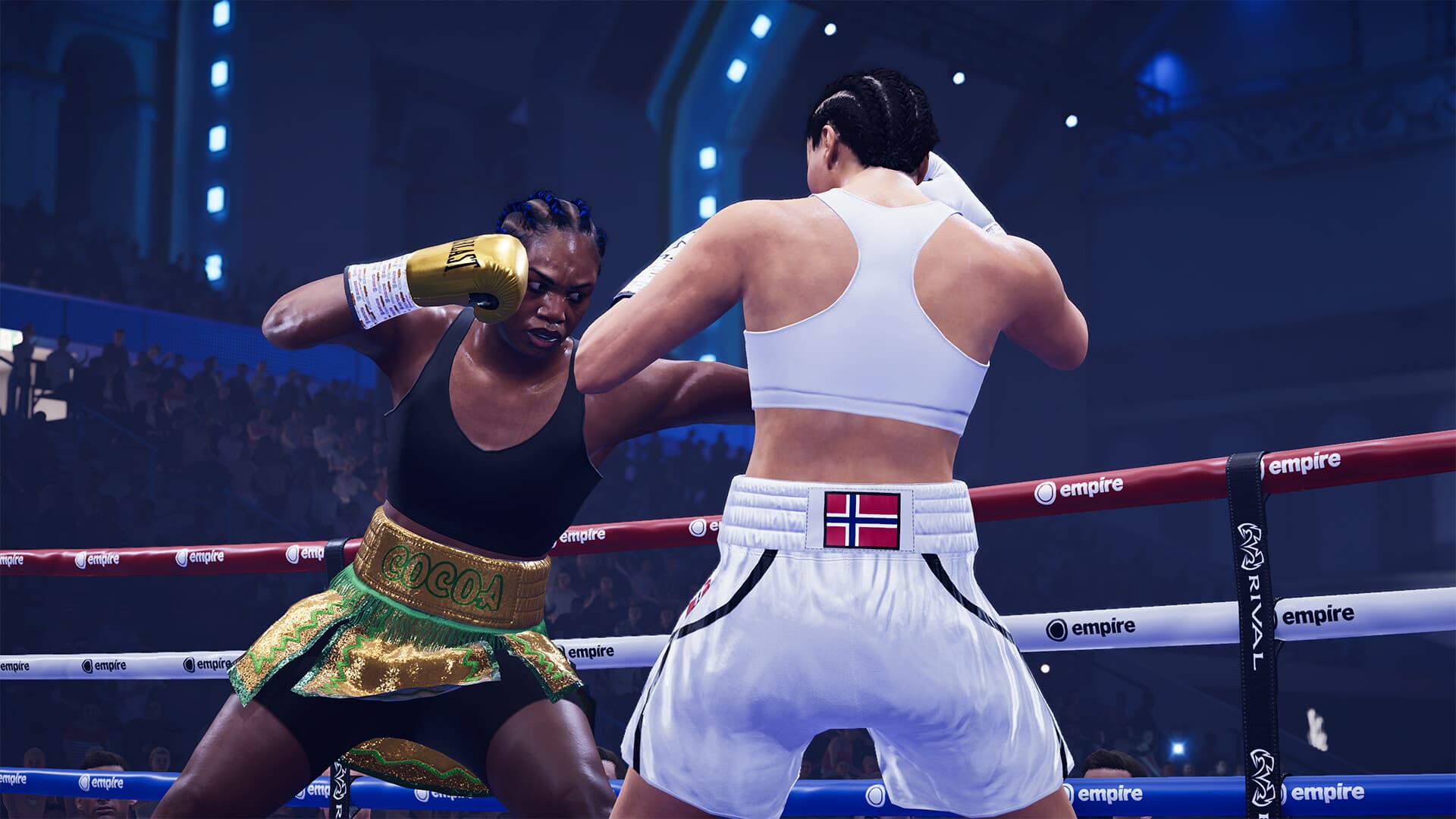 Undisputed PC Steam CD Key - 5