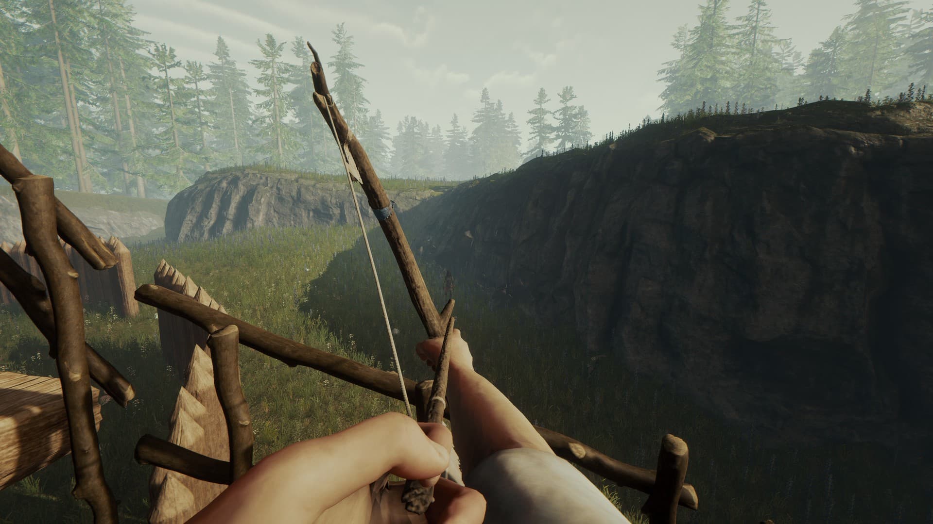 The Forest - 5
