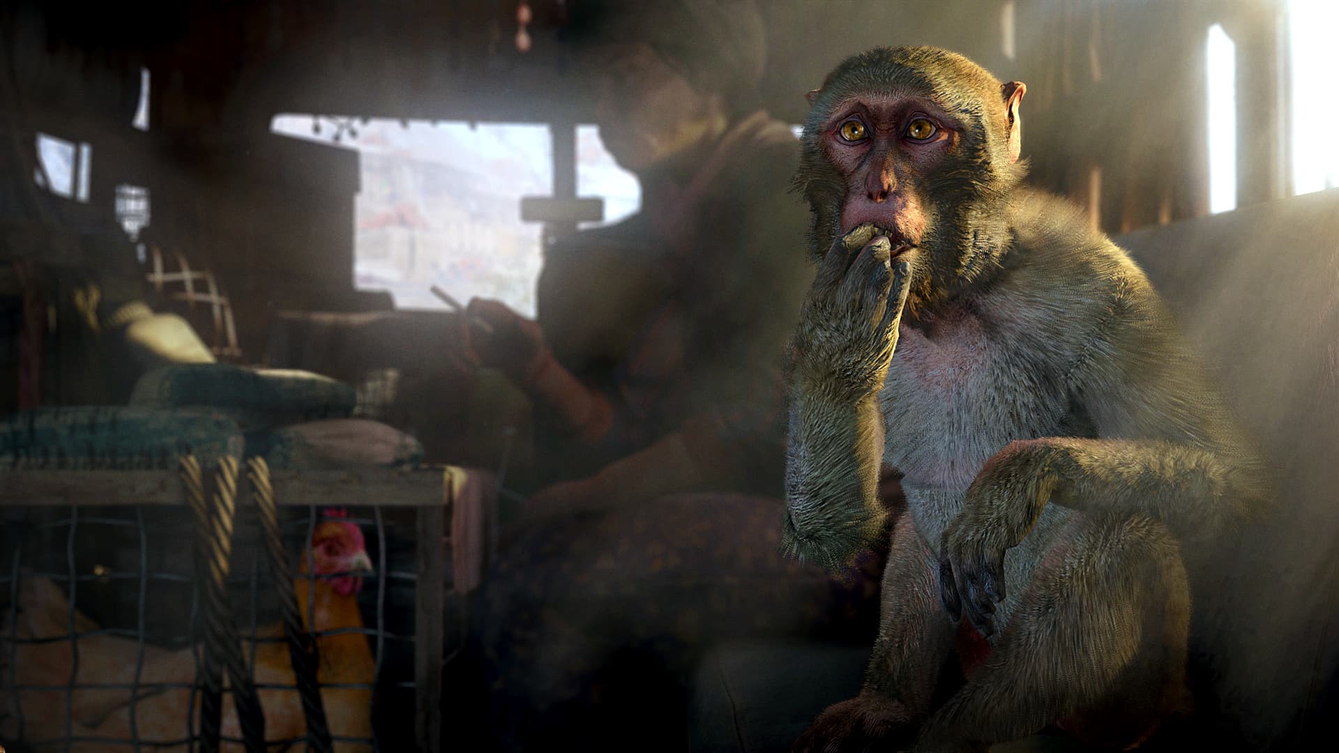 Far Cry 4 Steam Account - 3