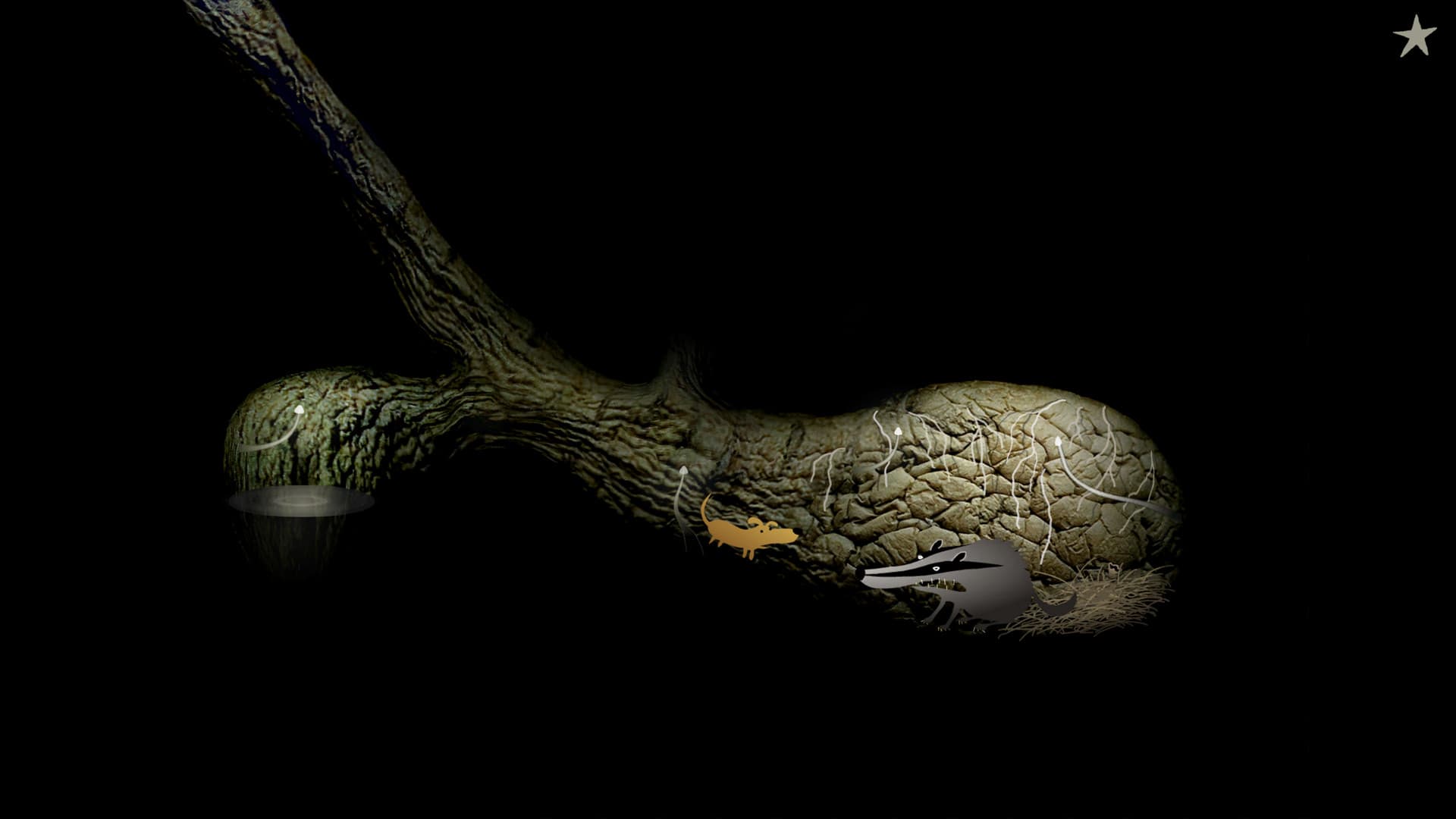 Samorost 2 Steam CD Key - 2