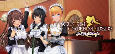 CUSTOM ORDER MAID 3D2 It's a Night Magic PC Steam Account