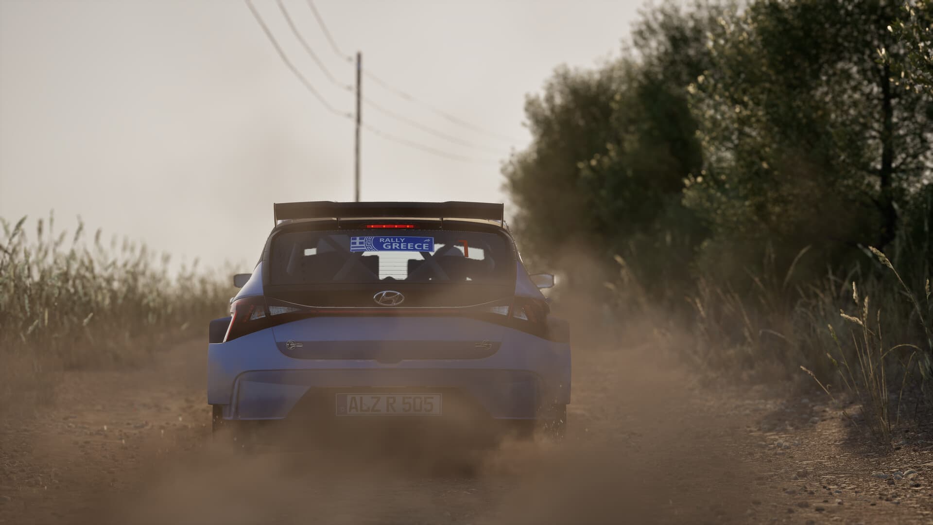Assetto Corsa Rally PC Steam Account - 3