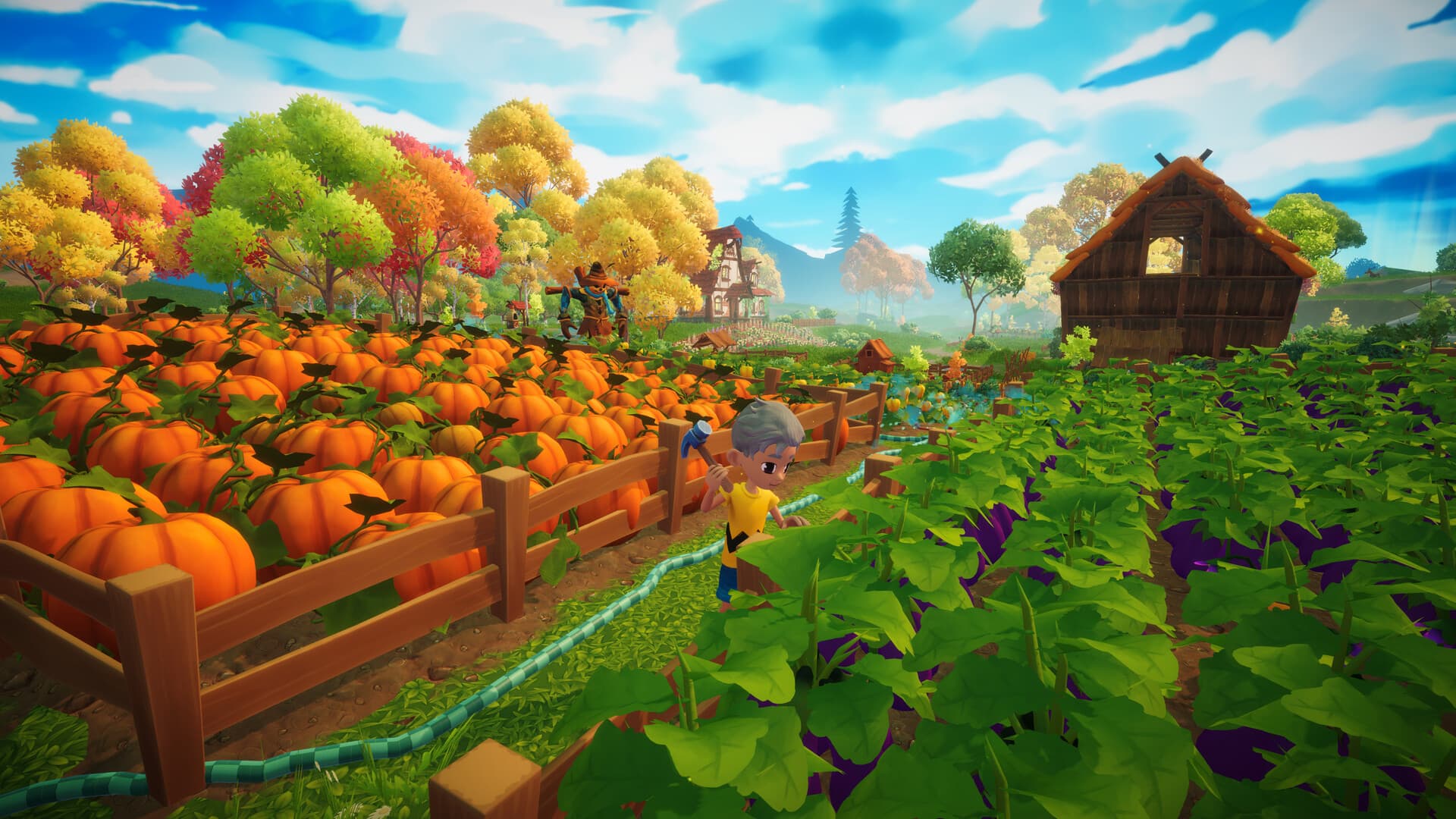 Everdream Valley PC Steam Account - 6