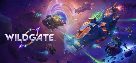 Wildgate PC Steam Account