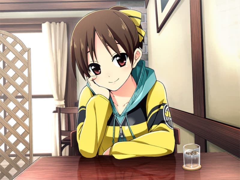 Go! Go! Nippon! ~My First Trip to Japan~ PC Steam CD Key - 3