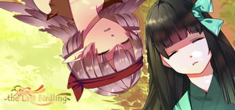 The Last Birdling Steam CD Key