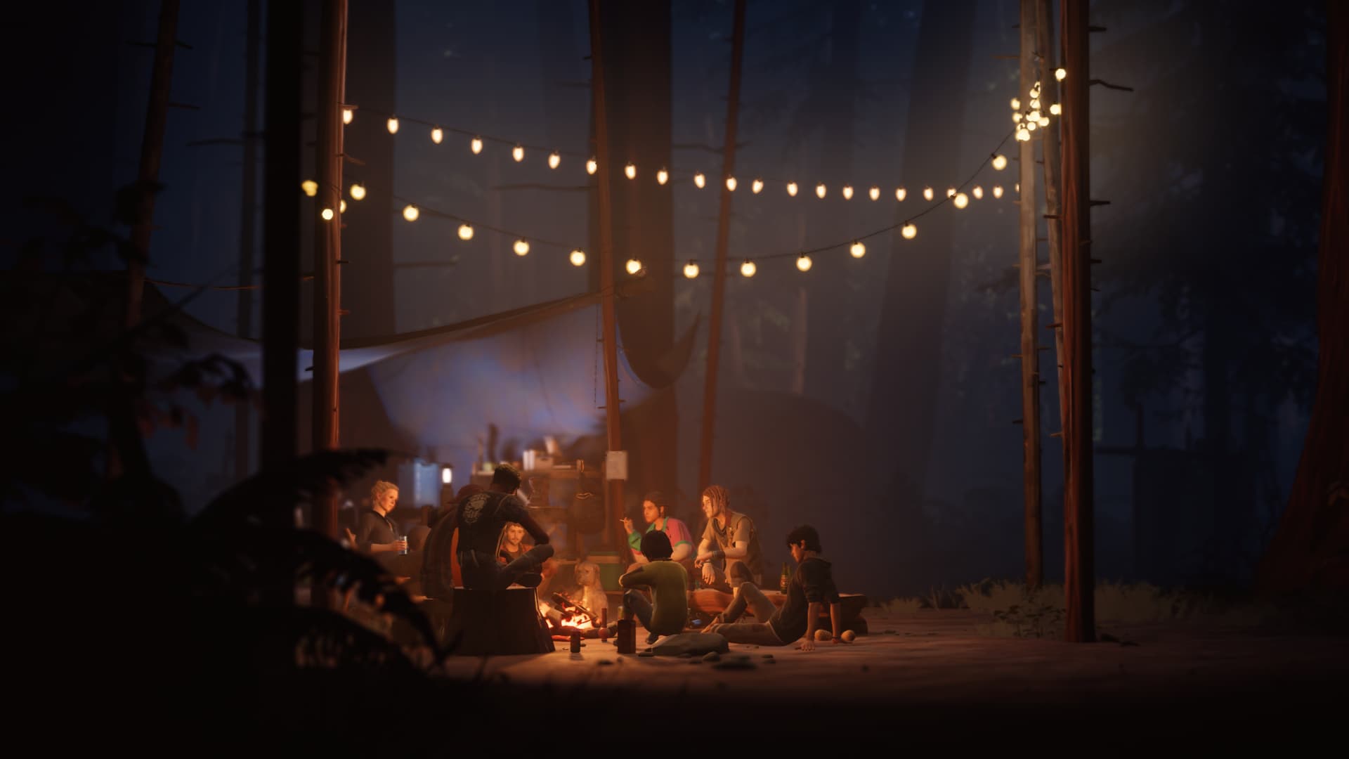 Life is Strange Complete Steam Account - 2