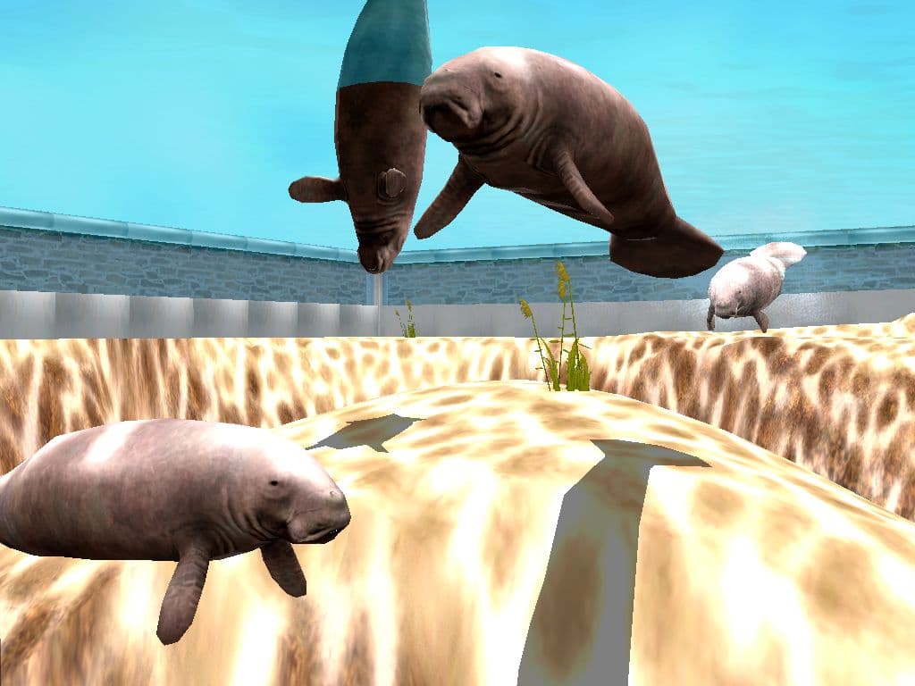 Marine Park Empire Steam CD Key - 6