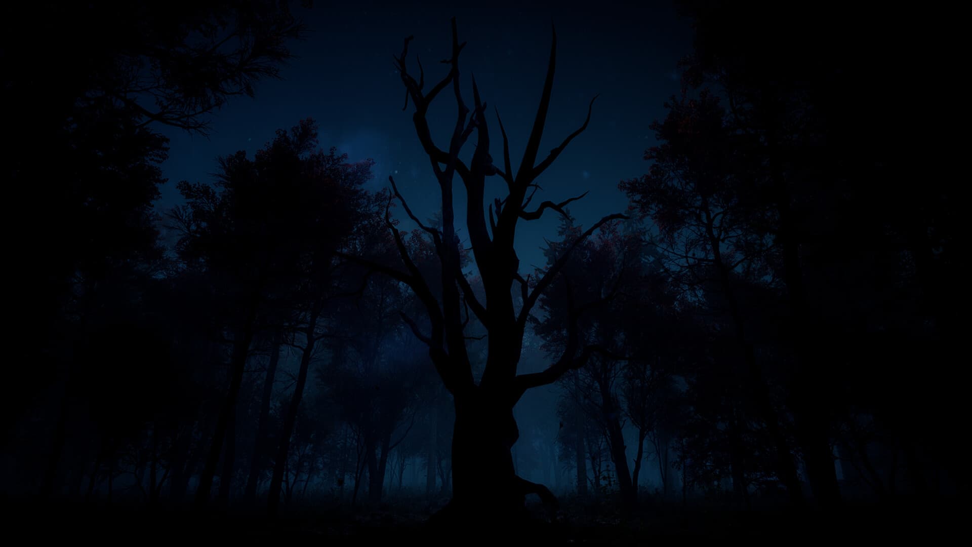Slender: The Arrival (2013) Steam CD Key - 9
