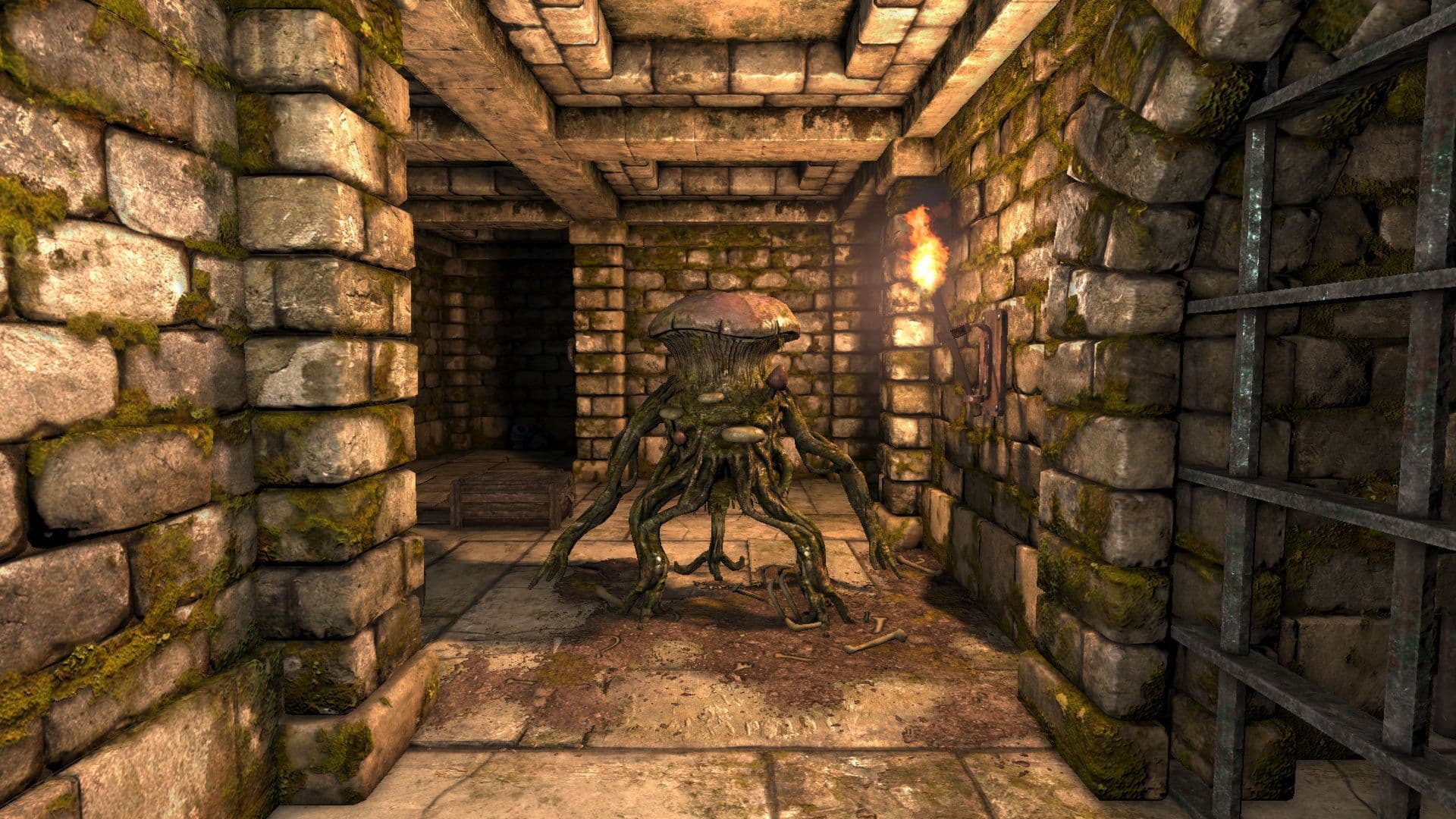 Legend of Grimrock Steam CD Key - 8