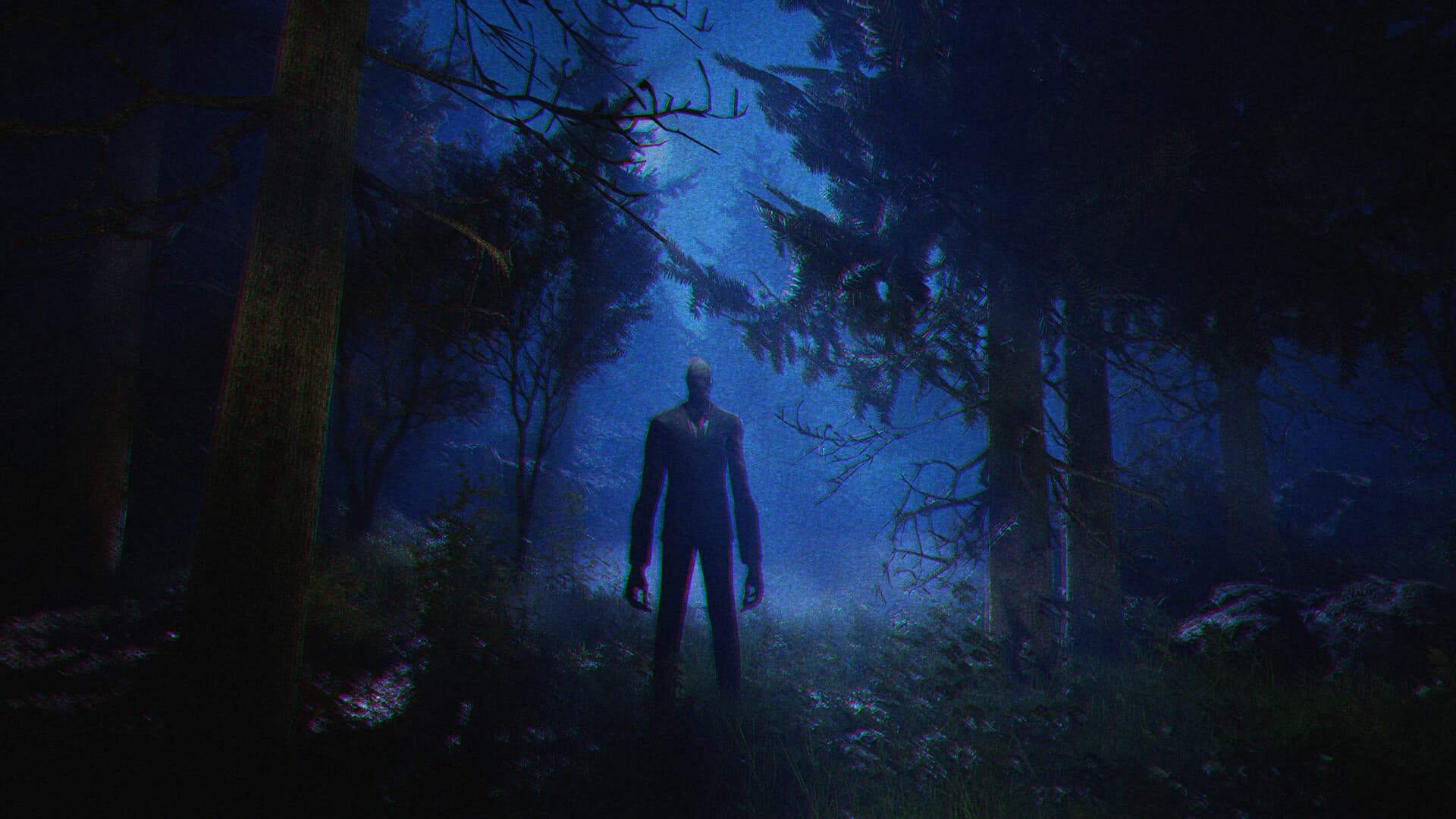 Slender: The Arrival (2013) Steam CD Key - 3