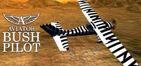 Aviator - Bush Pilot Steam CD Key