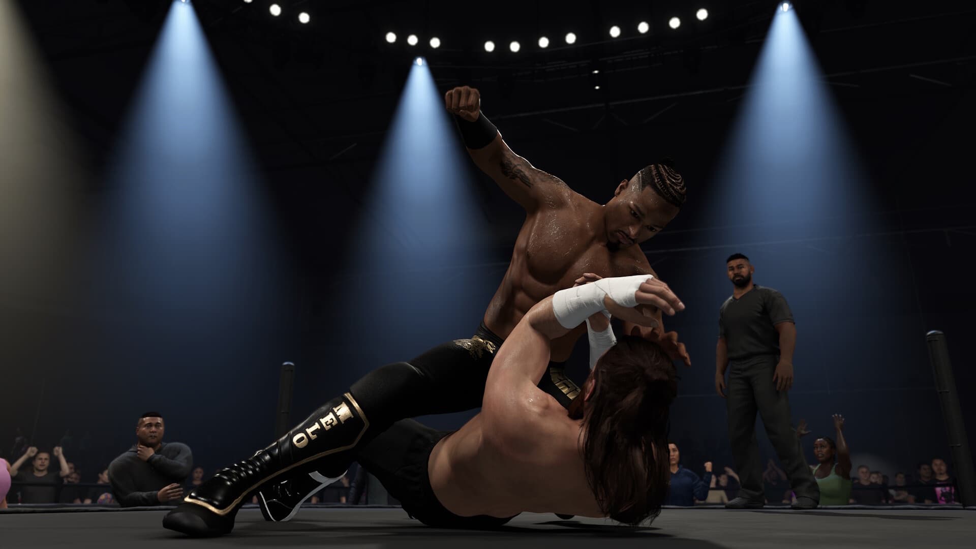 WWE 2K25 Bloodline Edition PC Steam Account - 2