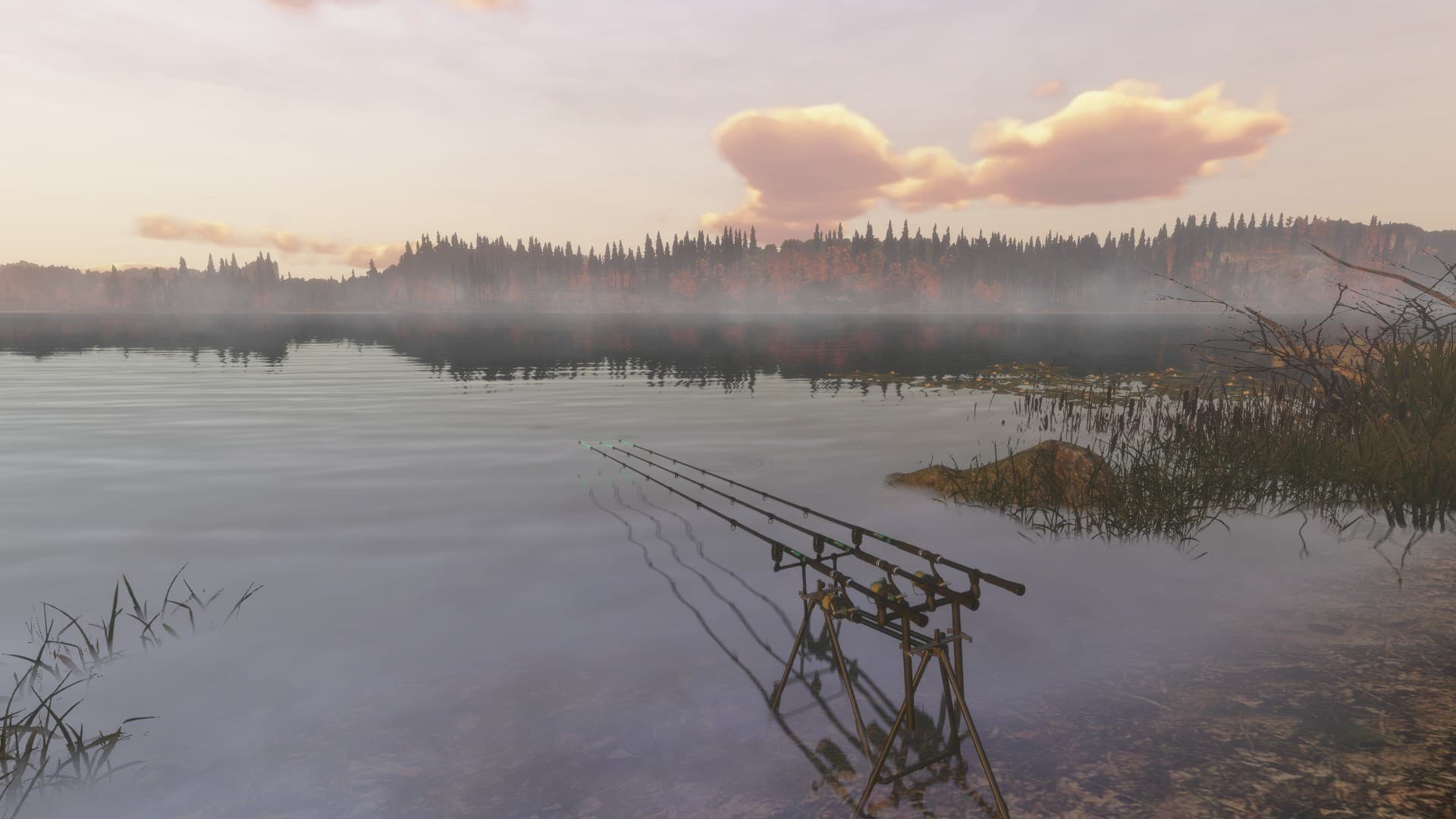 Fisher Online PC Steam Account - 2