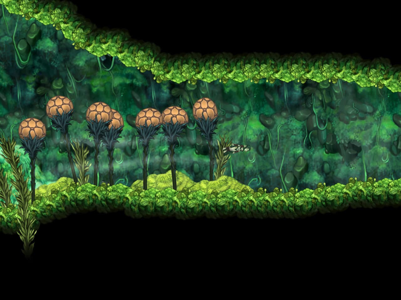 Aquaria Steam CD Key - 7