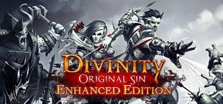 Divinity: Original Sin Enhanced Edition Steam Account
