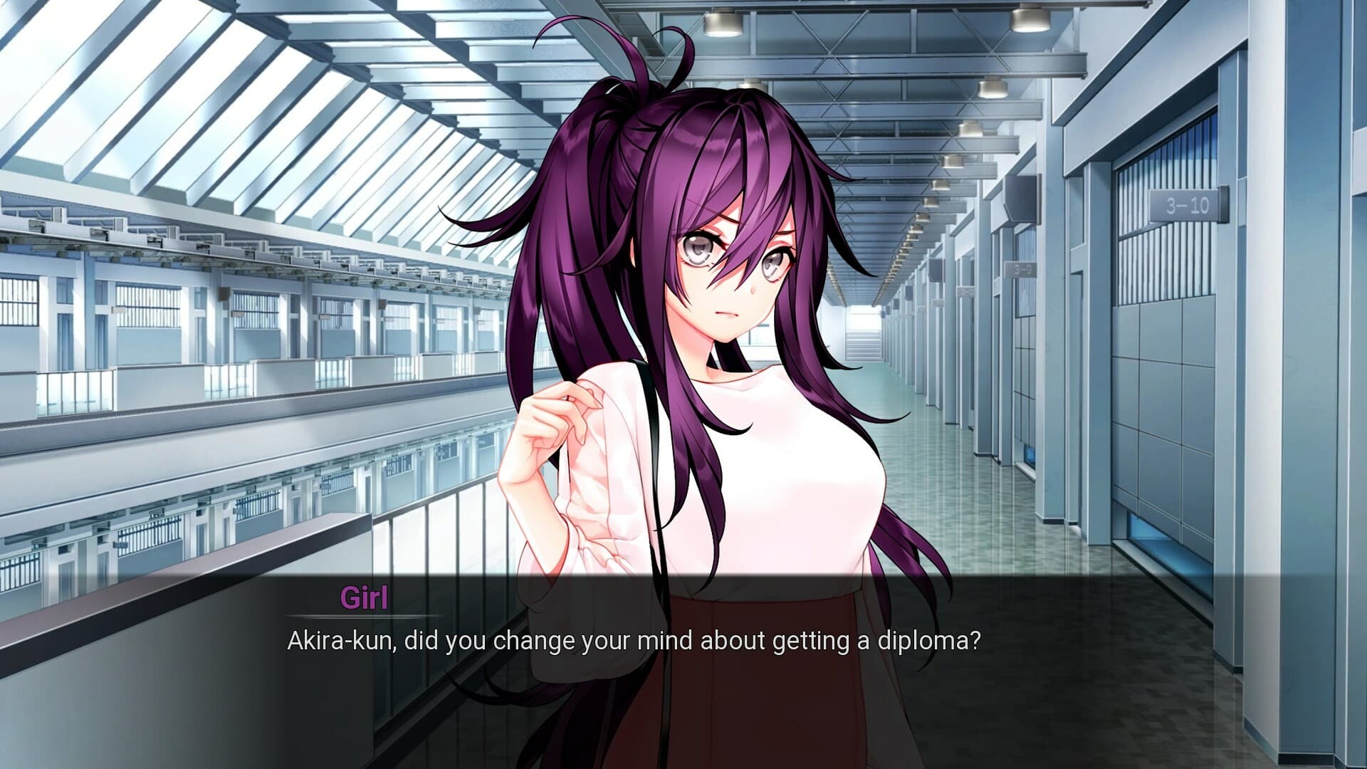My Summer Adventure: Memories of Another Life PC Steam Account - 3