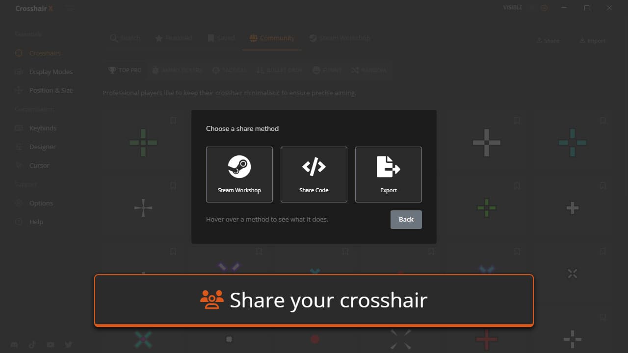 Crosshair X PC Steam Account - 4