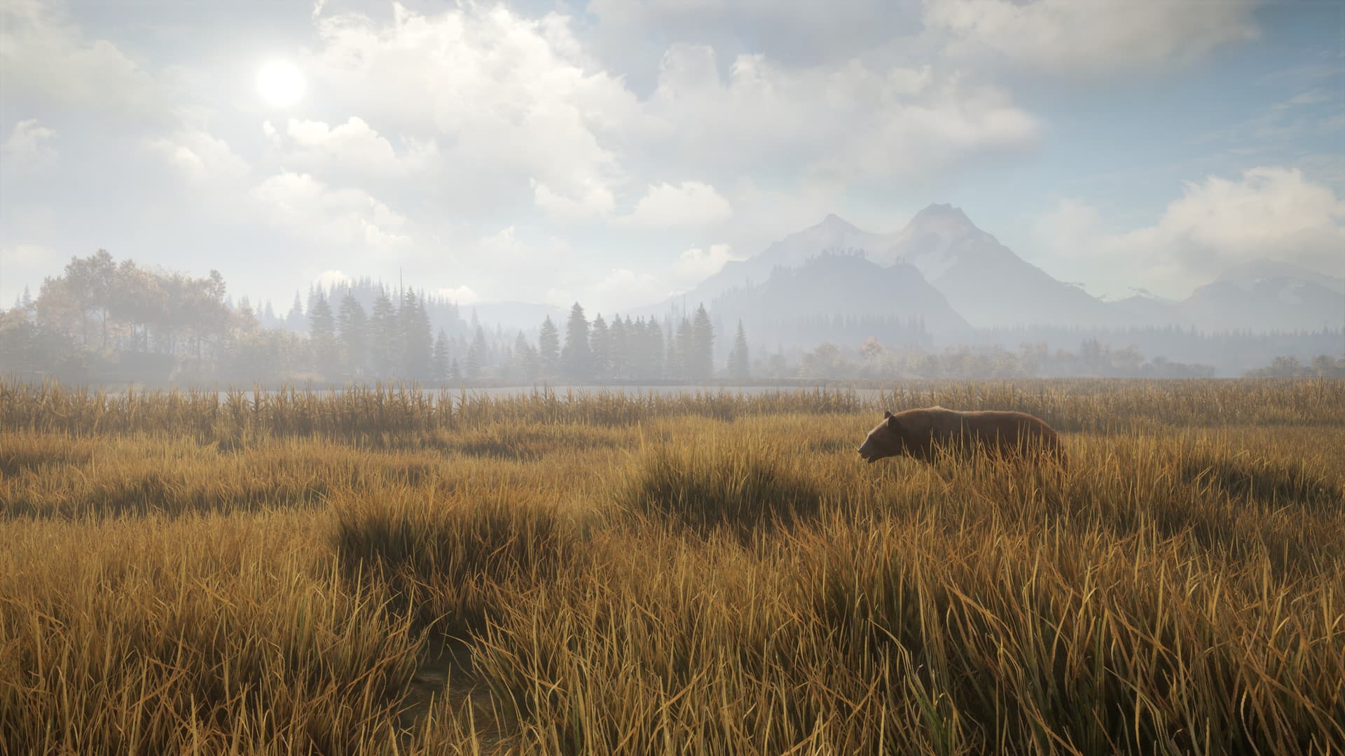 theHunter: Call of the Wild Steam Account - 3