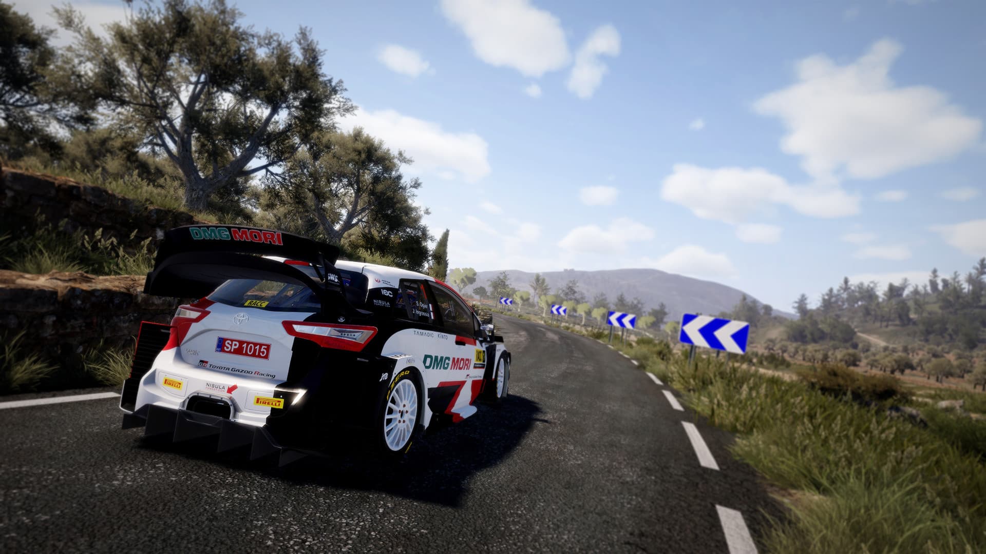 WRC 10 FIA World Rally Championship PC Steam Account - 8