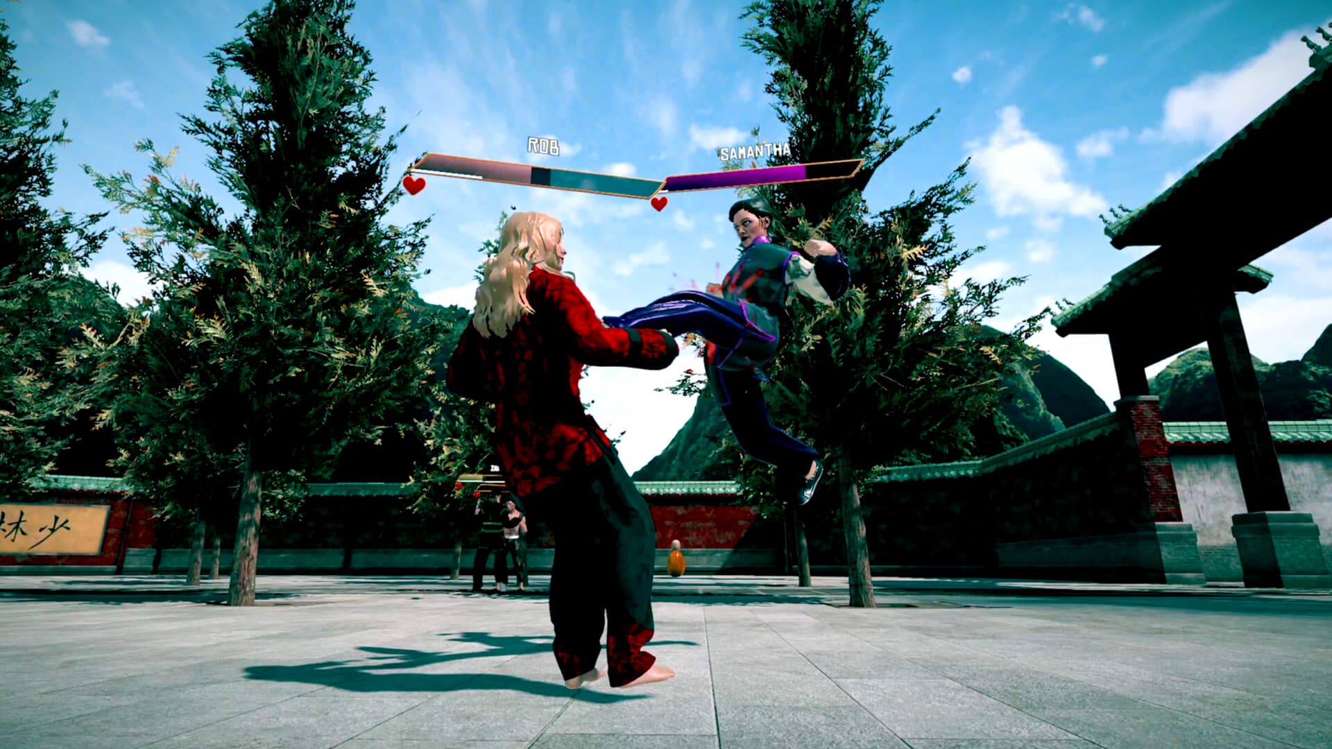 Dragon Fist: VR Kung Fu PC Steam Account - 6