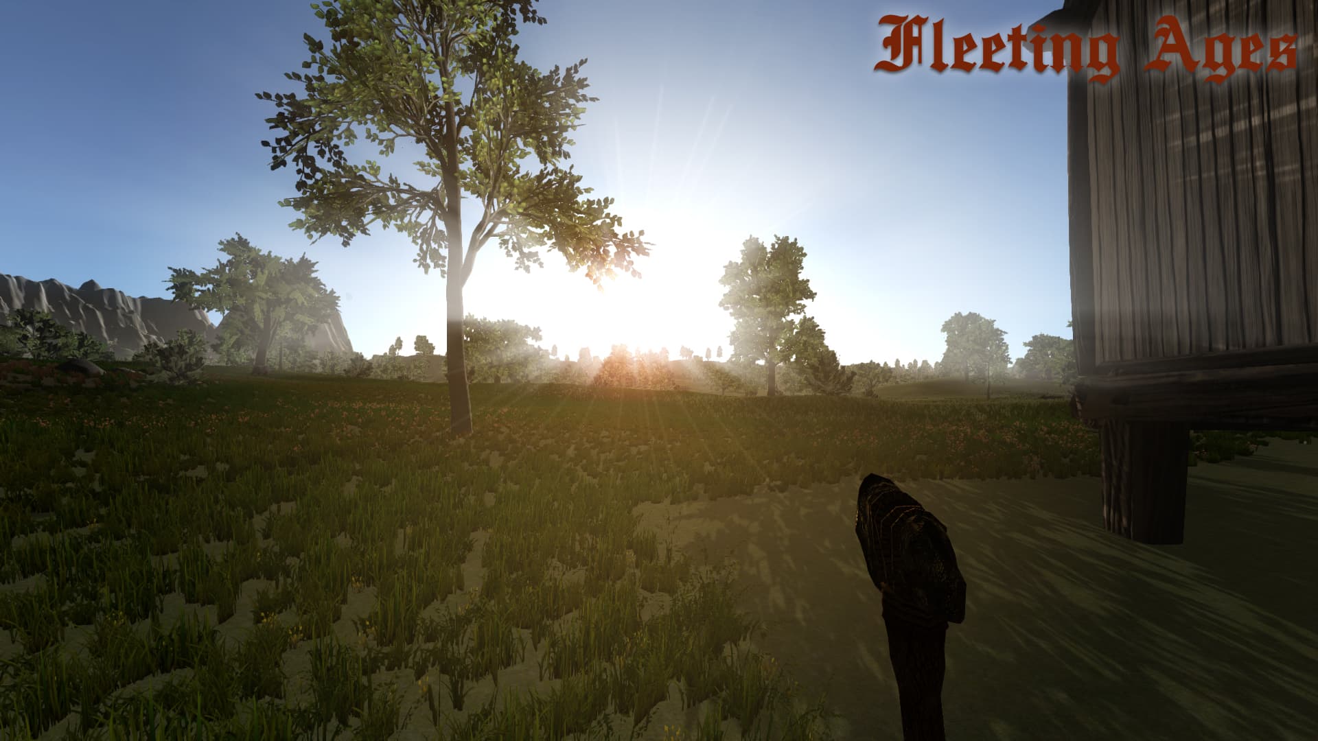 Fleeting Ages Steam CD Key - 4