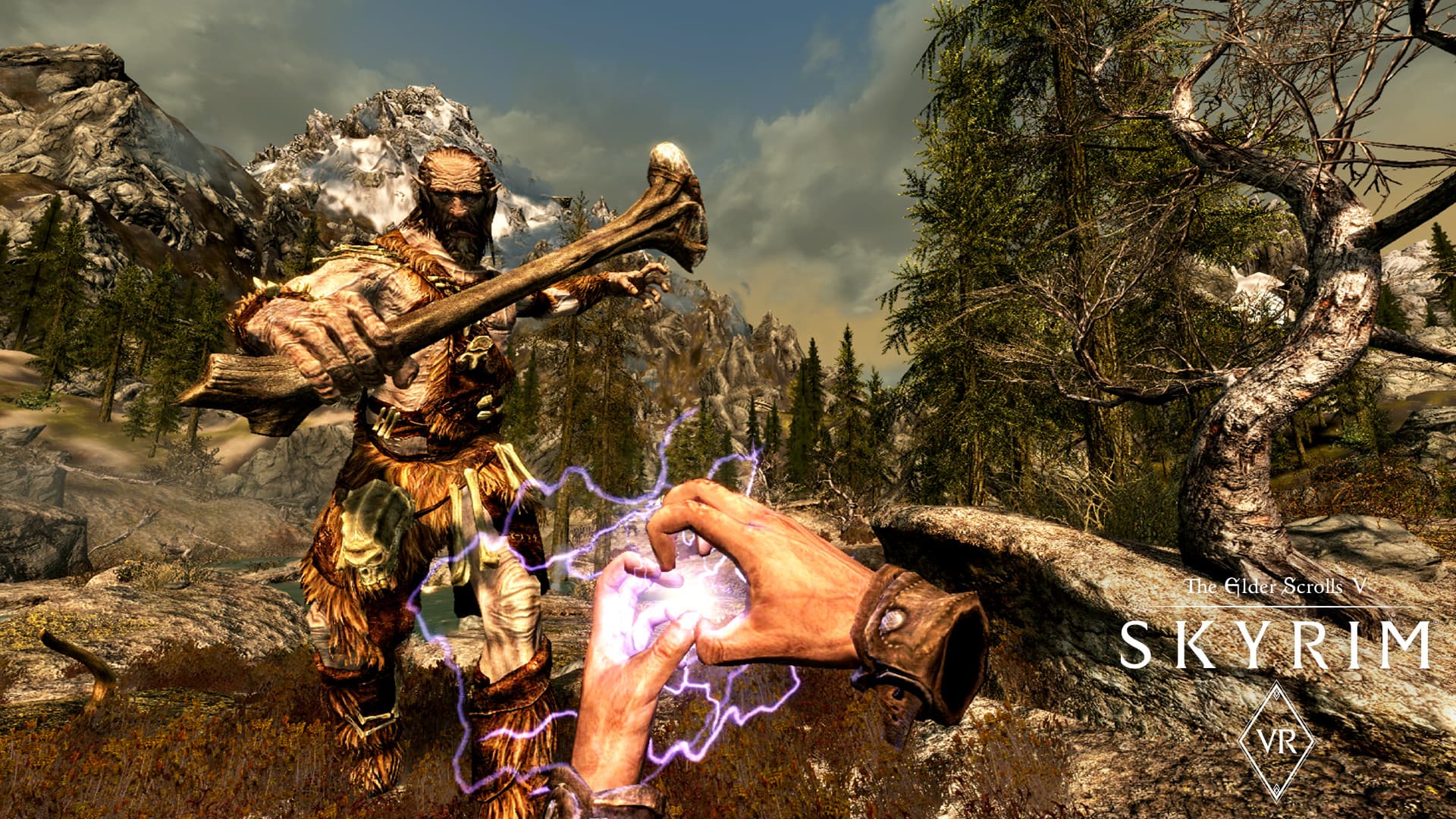 The Elder Scrolls V: Skyrim VR PC Steam Account - 4