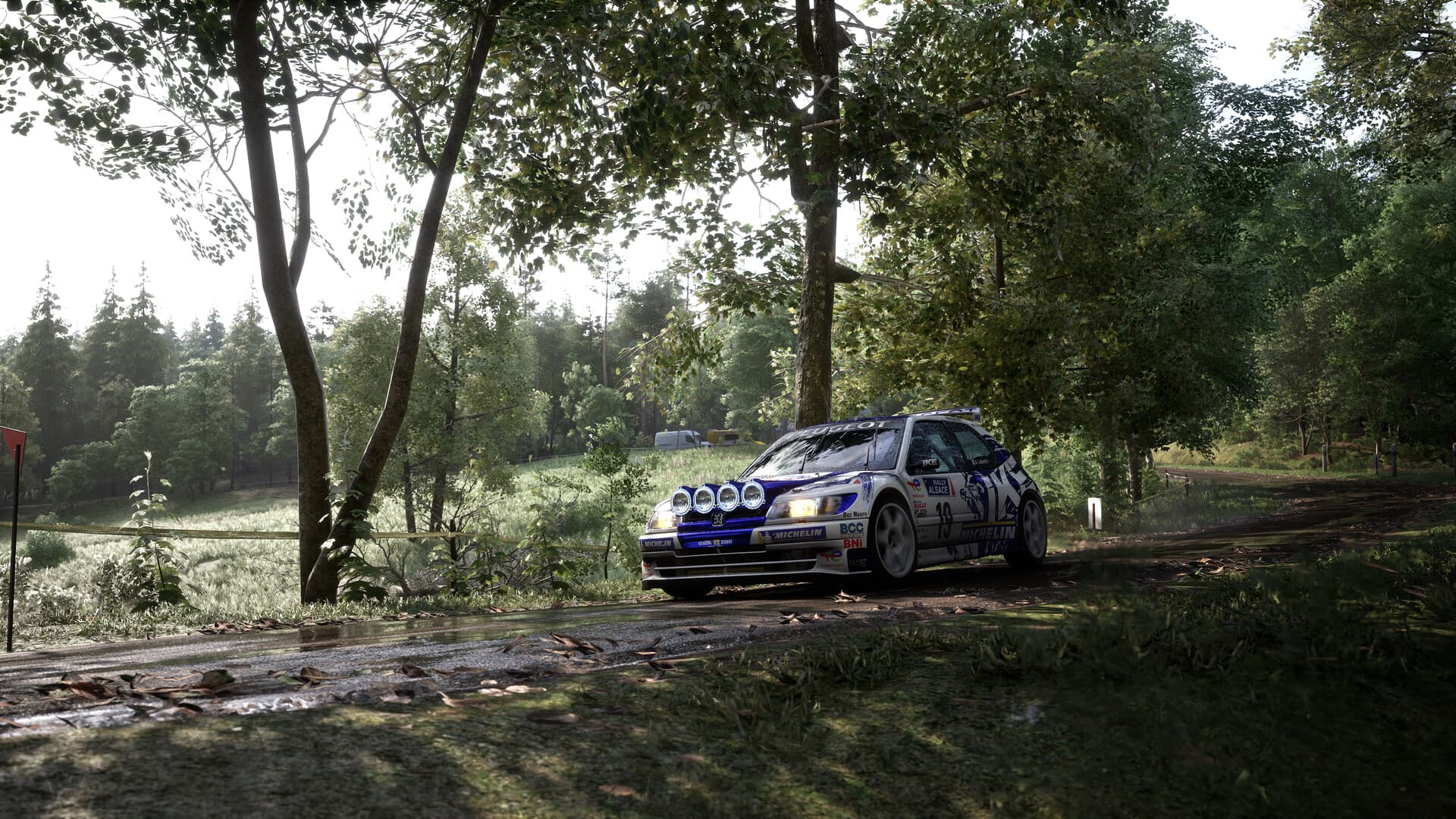 Assetto Corsa Rally PC Steam Account - 4