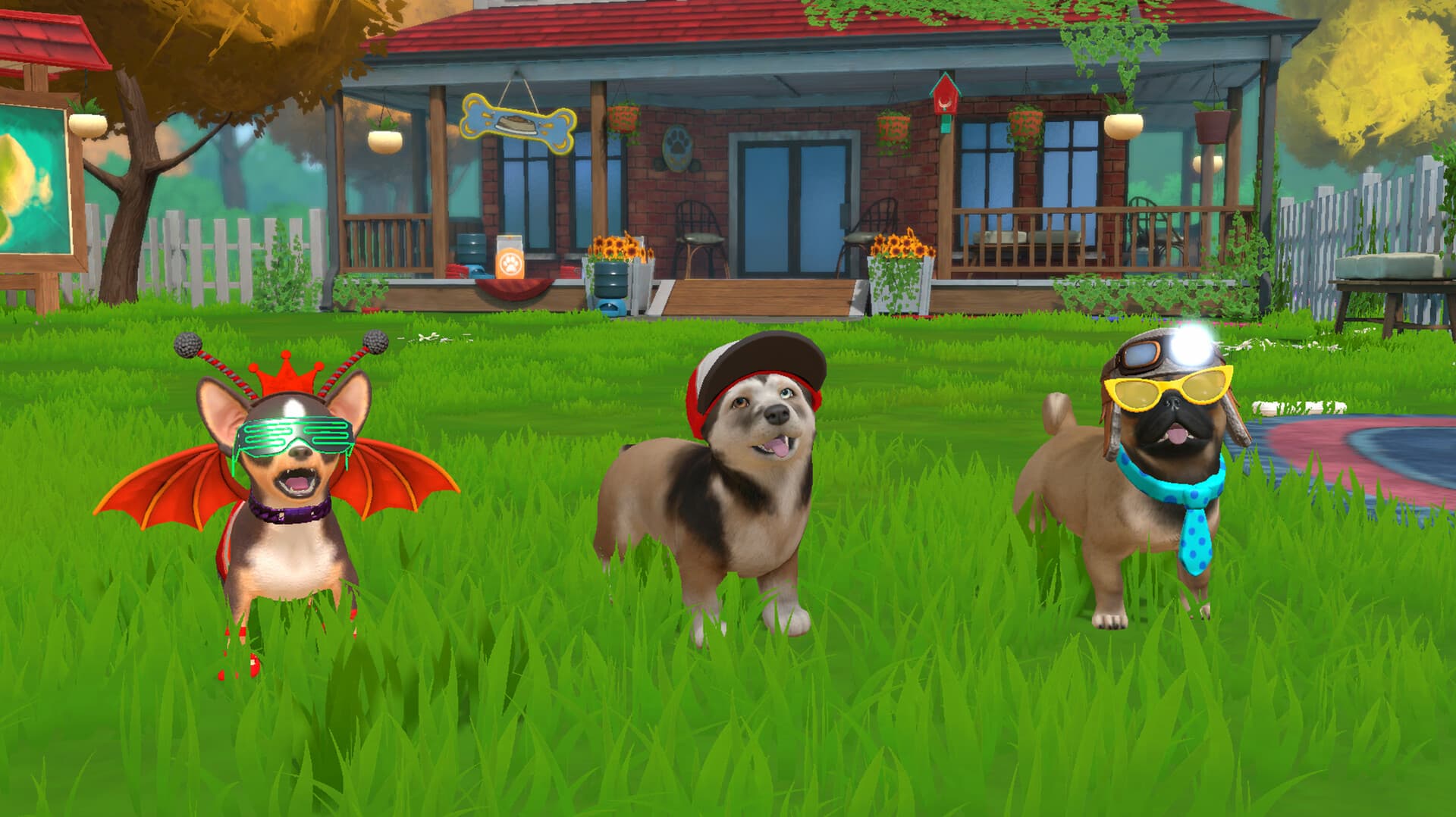 Little Friends: Puppy Island PC Steam Account - 7