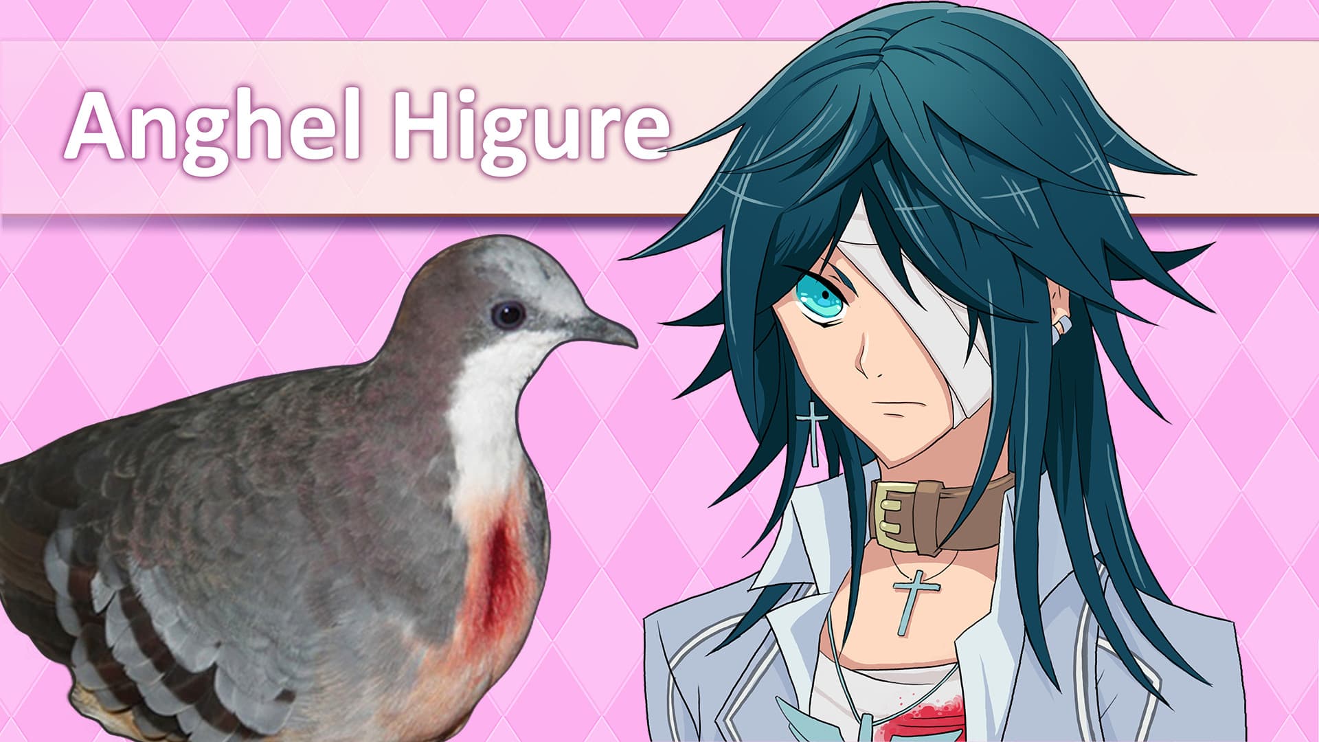 Hatoful Boyfriend Collector's Edition Steam CD Key - 4