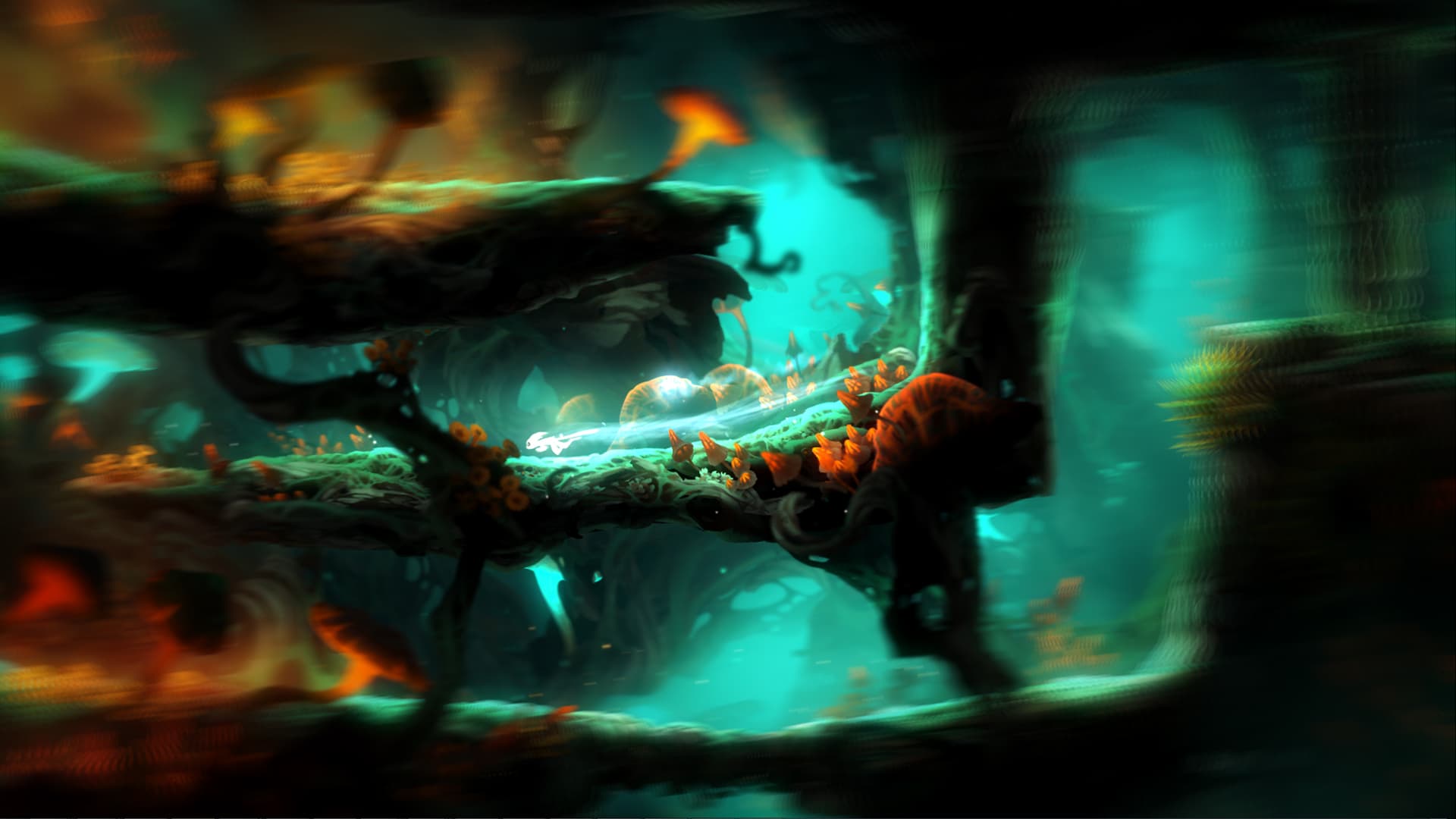 Ori and the Blind Forest: Definitive Edition Steam CD Key - 3
