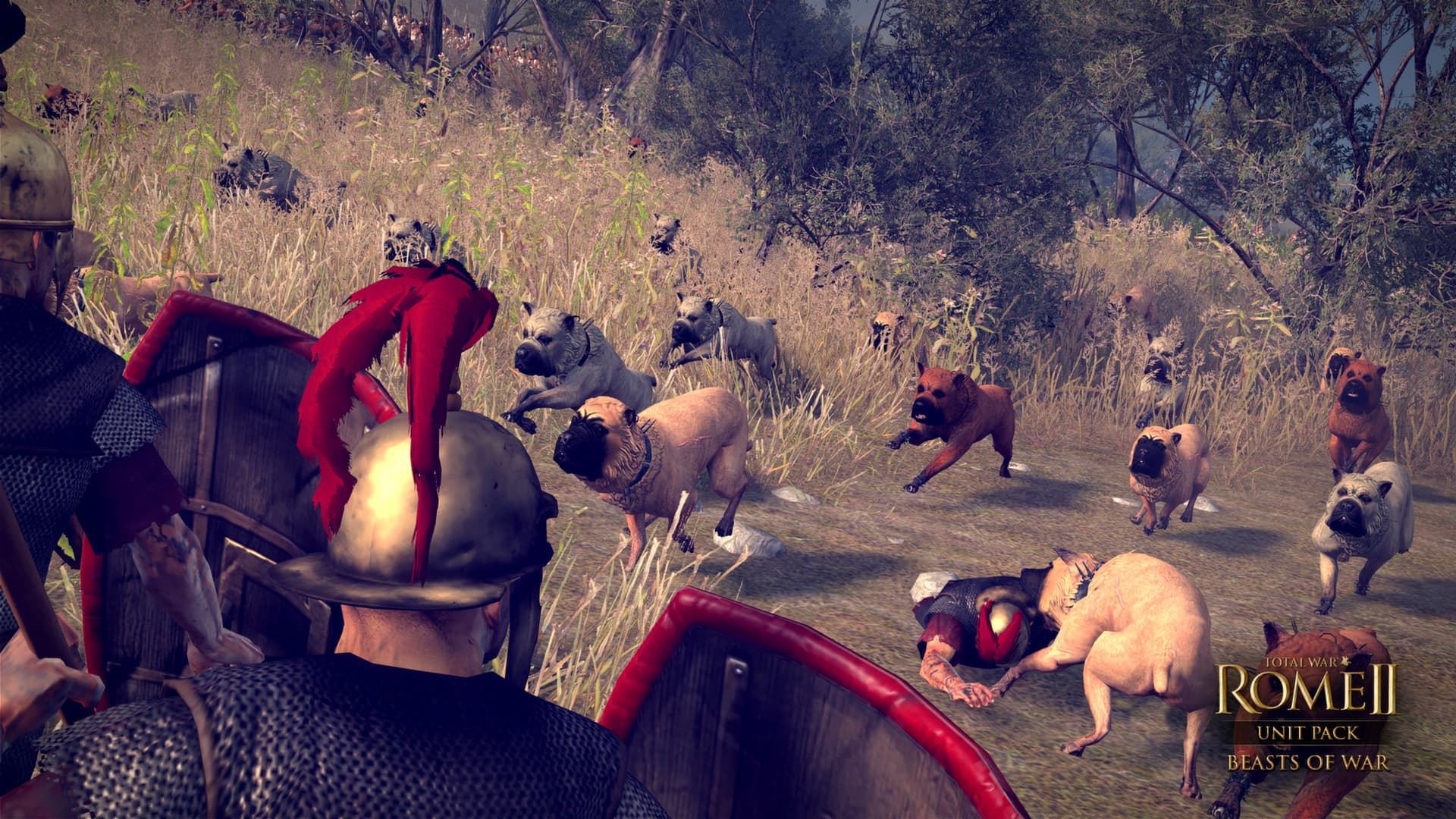 Total War: ROME II - Beasts of War Unit Pack DLC PC Steam CD Key - 6