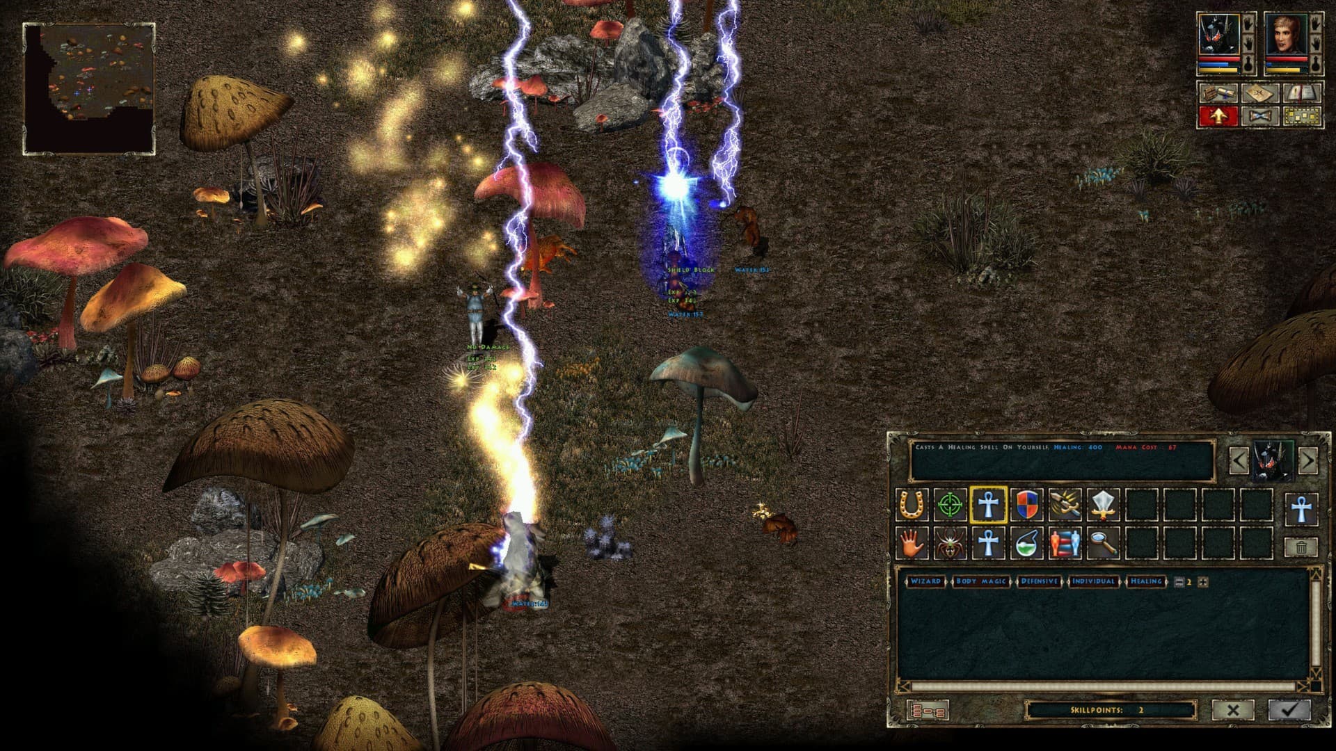 Beyond Divinity Steam CD Key - 3