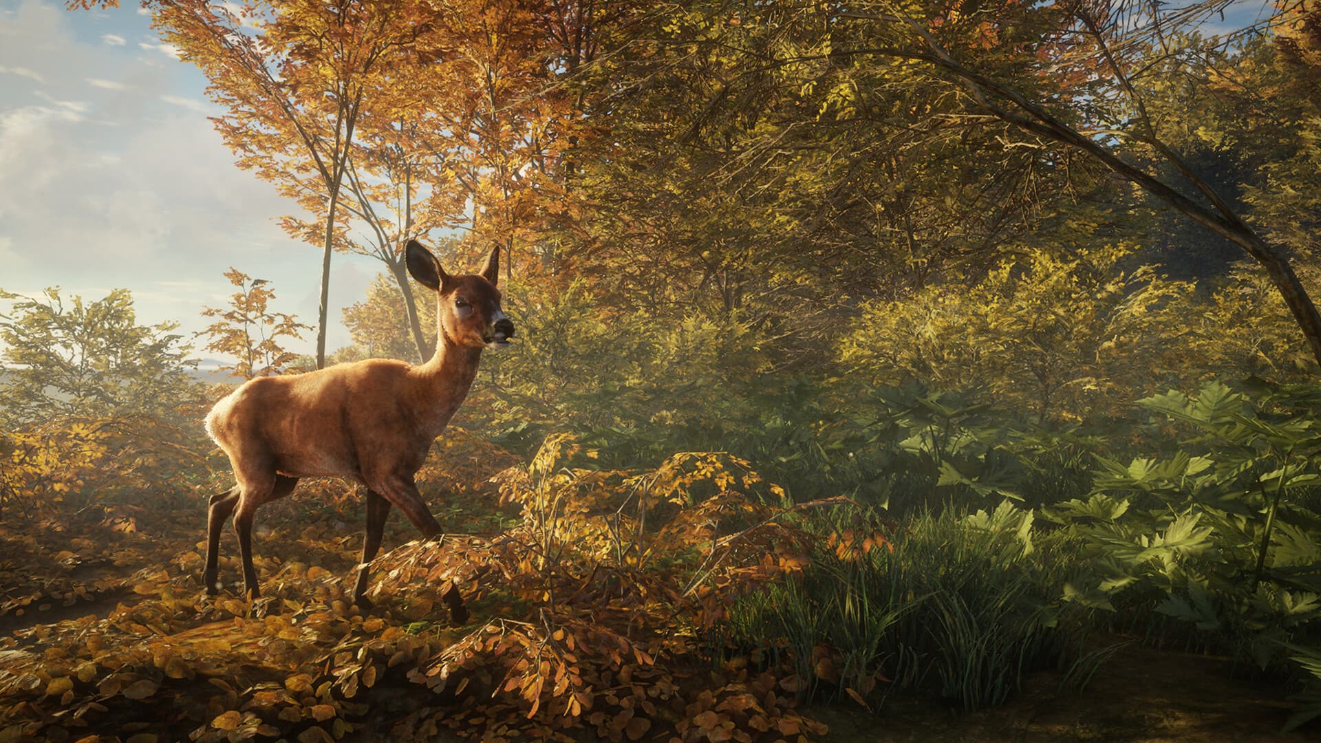 theHunter: Call of the Wild Steam Account - 9