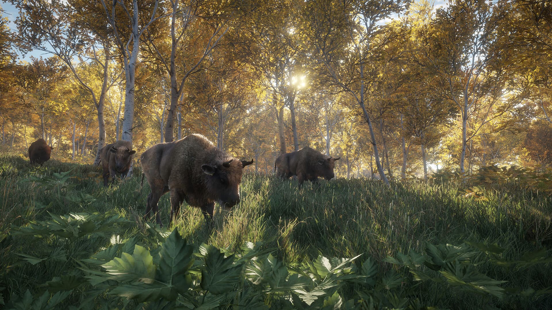 theHunter: Call of the Wild Steam Account - 6