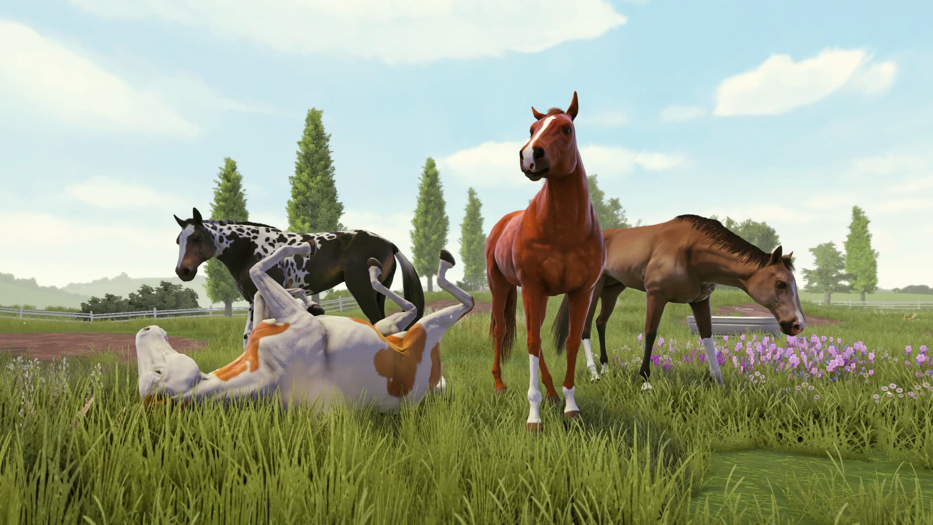Rival Stars Horse Racing Steam Account  - 8