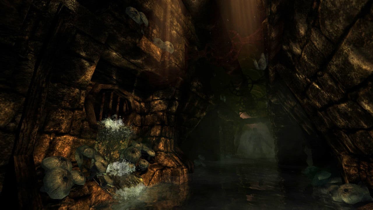 Amnesia: The Dark Descent Steam CD Key - 5