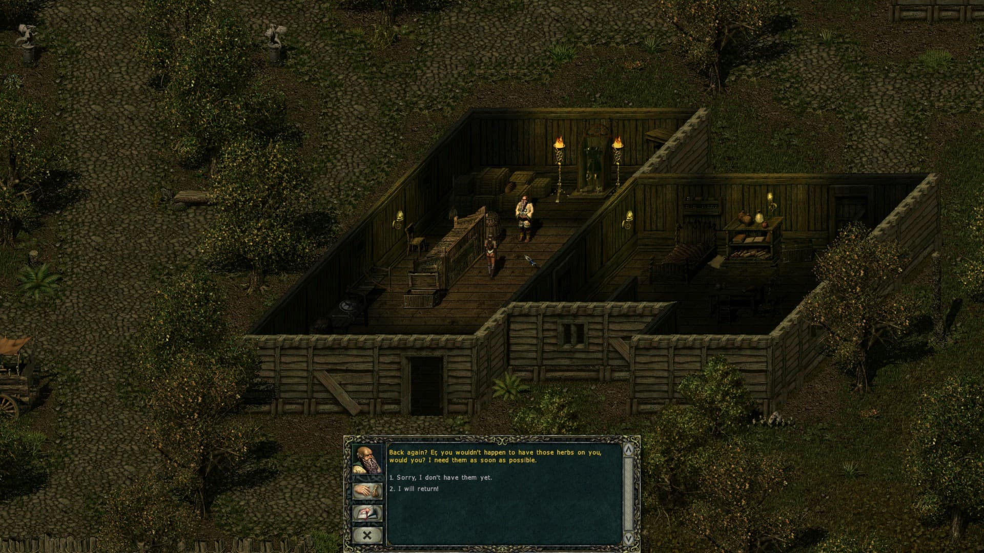 Divine Divinity Steam CD Key - 4