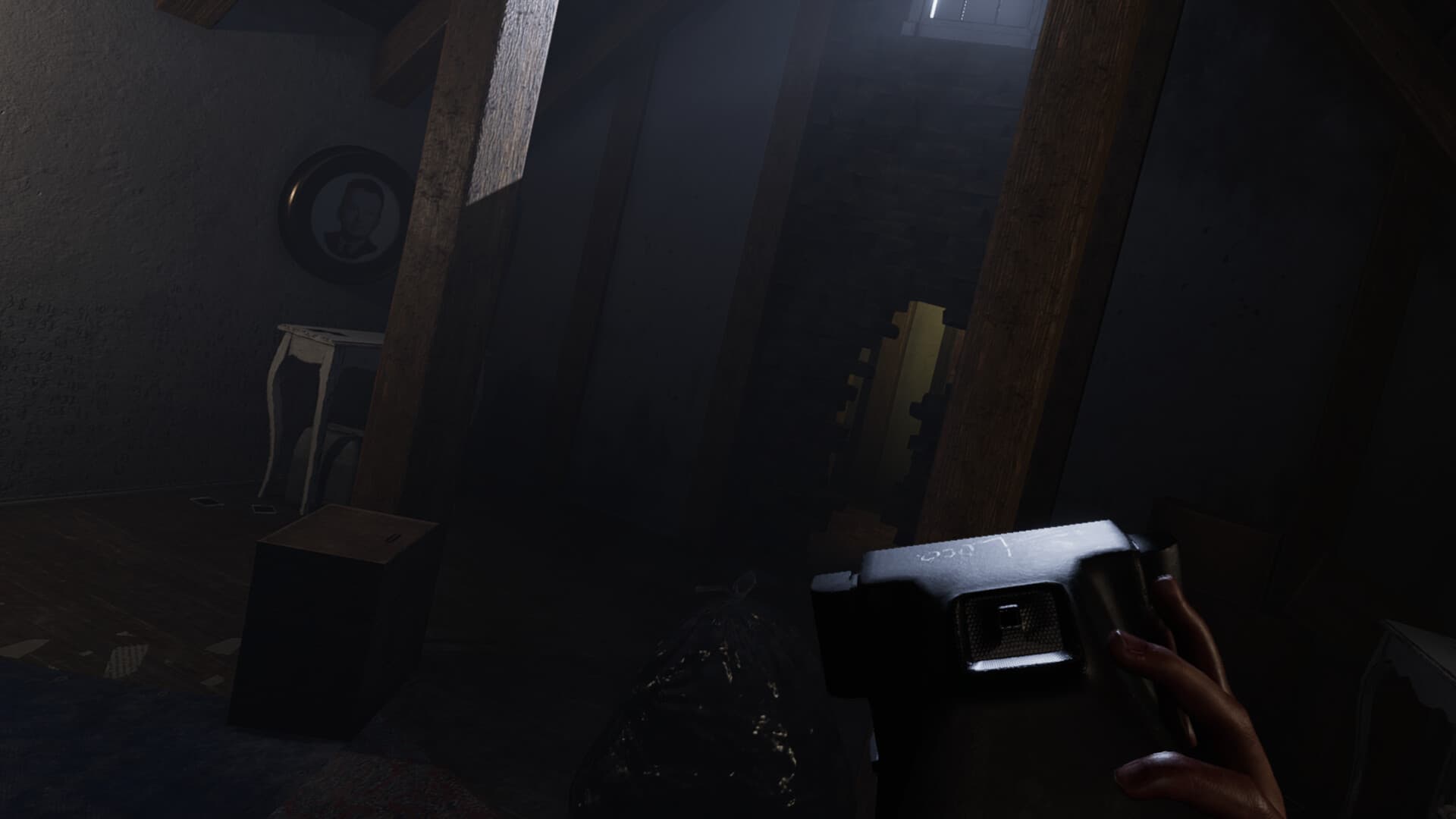 MADiSON VR PC Steam Account - 4