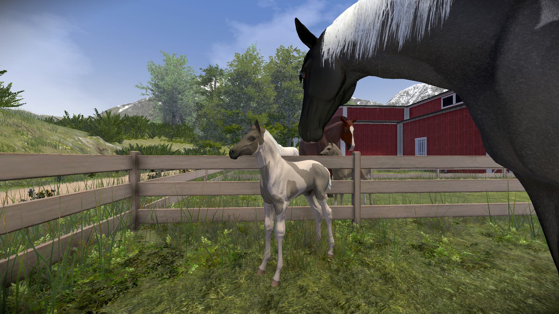 Astride PC Steam Account - 2