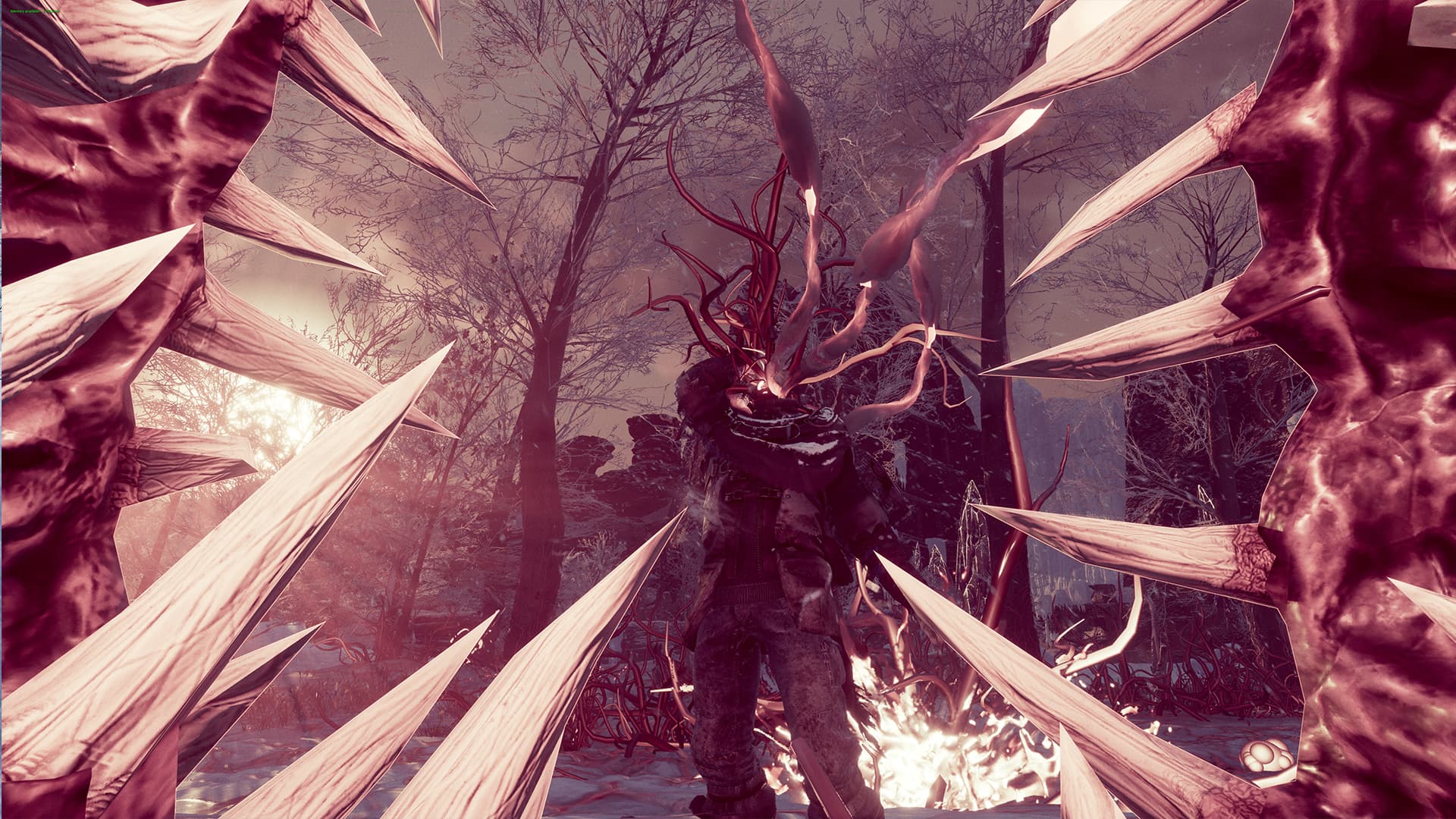 Fade to Silence PC Steam Account - 8