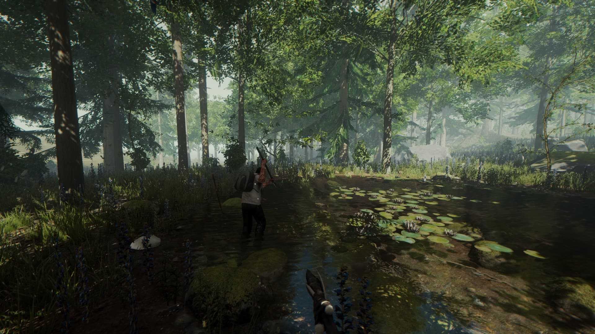 The Forest - 6