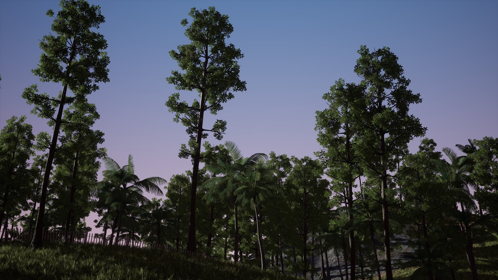 Paradise Steam Account - 5